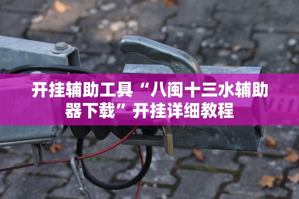 开挂辅助工具“八闽十三水辅助器下载”开挂详细教程