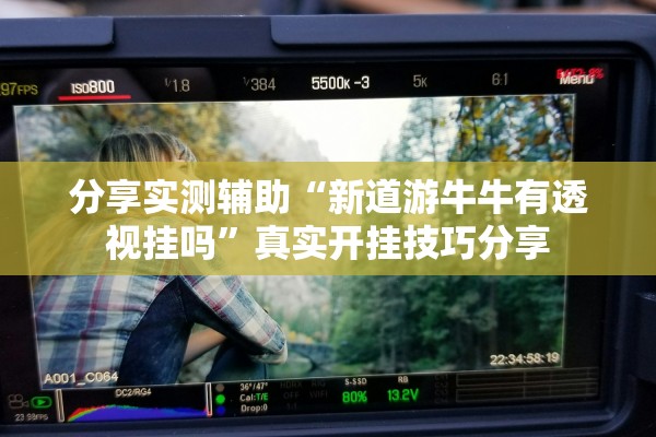 分享实测辅助“新道游牛牛有透视挂吗”真实开挂技巧分享