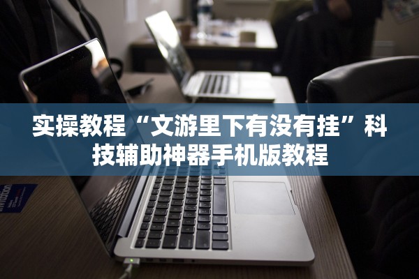 实操教程“文游里下有没有挂”科技辅助神器手机版教程