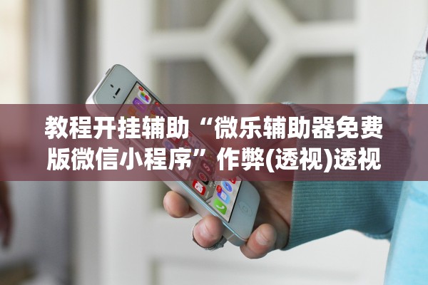 教程开挂辅助“微乐辅助器免费版微信小程序”作弊(透视)透视辅助 