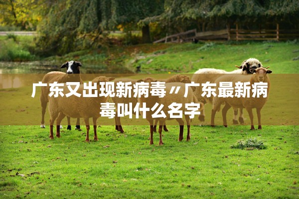 广东又出现新病毒〃广东最新病毒叫什么名字