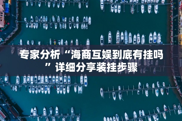 专家分析“海商互娱到底有挂吗”详细分享装挂步骤
