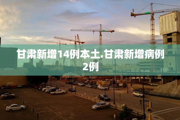 甘肃新增14例本土.甘肃新增病例2例