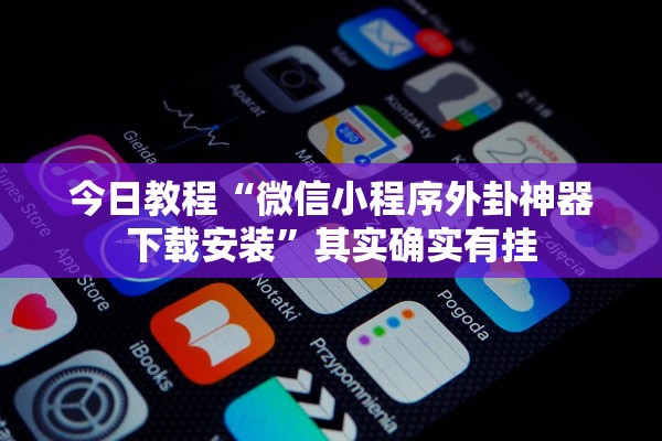 今日教程“微信小程序外卦神器下载安装”其实确实有挂