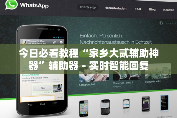 今日必看教程“家乡大贰辅助神器”辅助器 – 实时智能回复