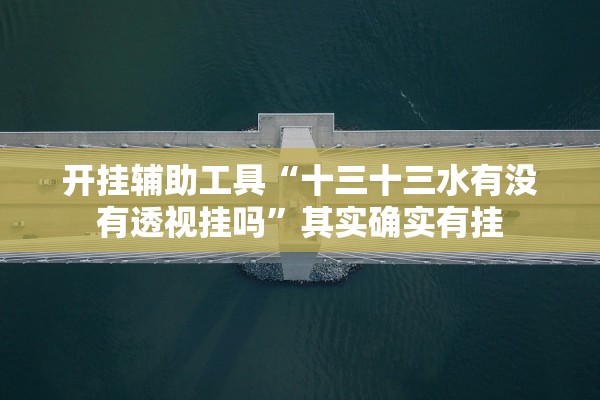 开挂辅助工具“十三十三水有没有透视挂吗	”其实确实有挂