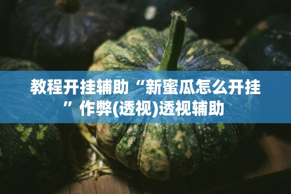 教程开挂辅助“新蜜瓜怎么开挂”作弊(透视)透视辅助 