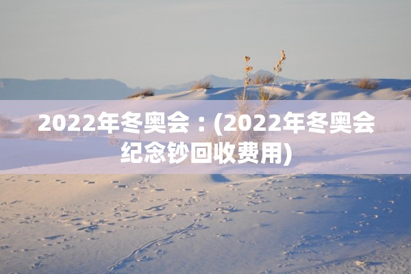 2022年冬奥会︰(2022年冬奥会纪念钞回收费用)