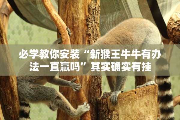 必学教你安装“新猴王牛牛有办法一直赢吗”其实确实有挂