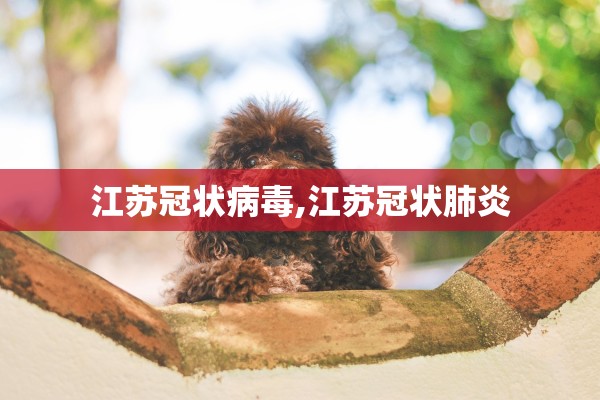 江苏冠状病毒,江苏冠状肺炎