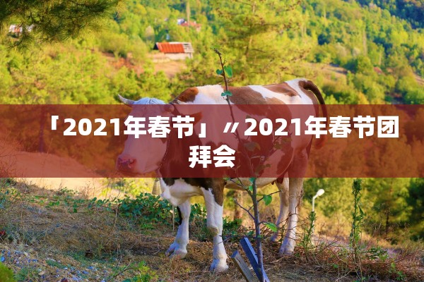 「2021年春节」〃2021年春节团拜会
