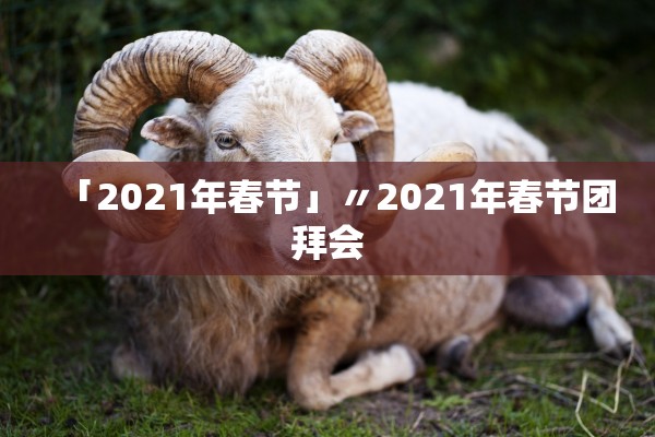 「2021年春节」〃2021年春节团拜会