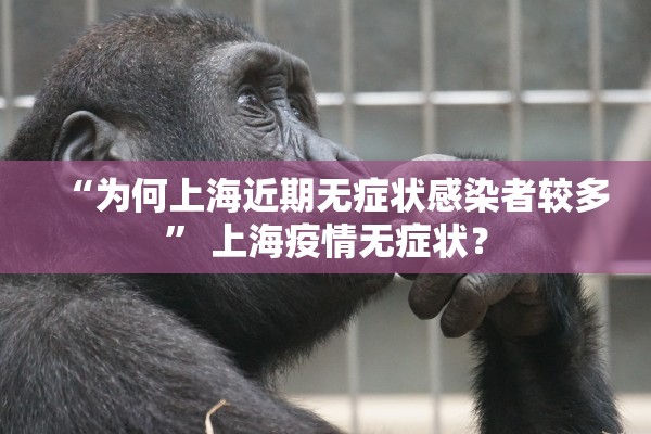 专家分析“蜜语有没有挂”辅助器 – 实时智能回复