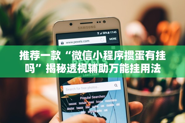 专家分析“新祥心有辅助软件吗”详细开挂教程