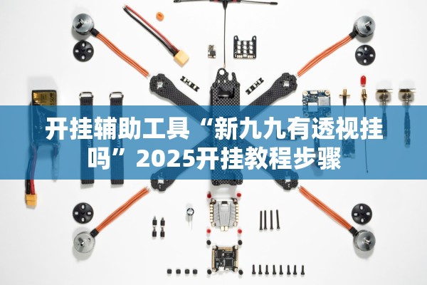 开挂辅助工具“新九九有透视挂吗”2025开挂教程步骤