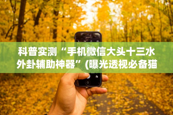 科普实测“手机微信大头十三水外卦辅助神器”(曝光透视必备猫腻)