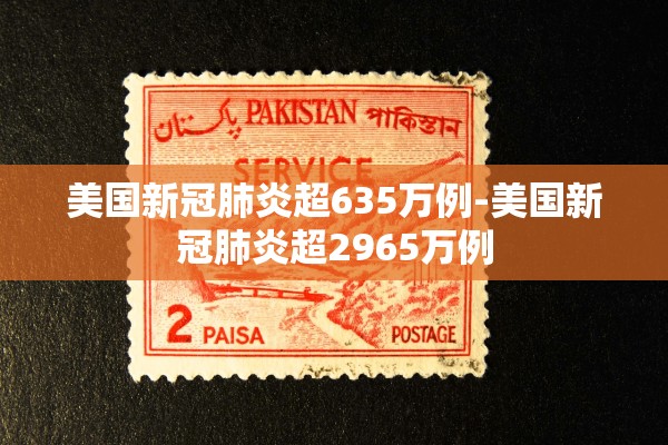 美国新冠肺炎超635万例-美国新冠肺炎超2965万例 美国新冠肺炎超635万例-美国新冠肺炎超2965万例