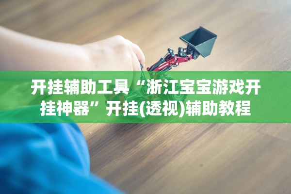 开挂辅助工具“浙江宝宝游戏开挂神器”开挂(透视)辅助教程