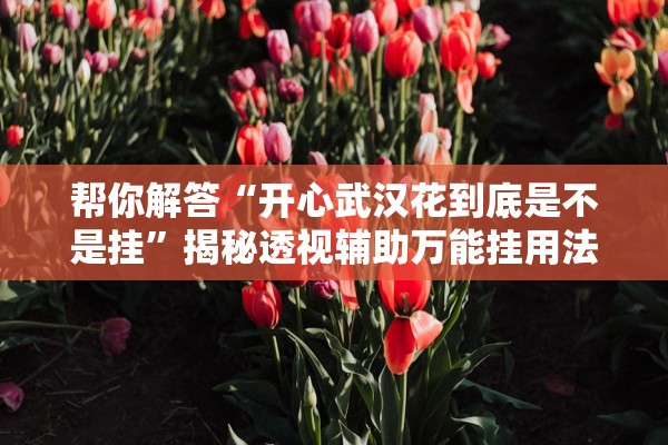 帮你解答“开心武汉花到底是不是挂”揭秘透视辅助万能挂用法