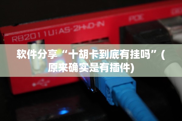 软件分享“十胡卡到底有挂吗”(原来确实是有插件)