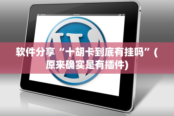 软件分享“十胡卡到底有挂吗	”(原来确实是有插件)