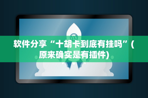 软件分享“十胡卡到底有挂吗”(原来确实是有插件)