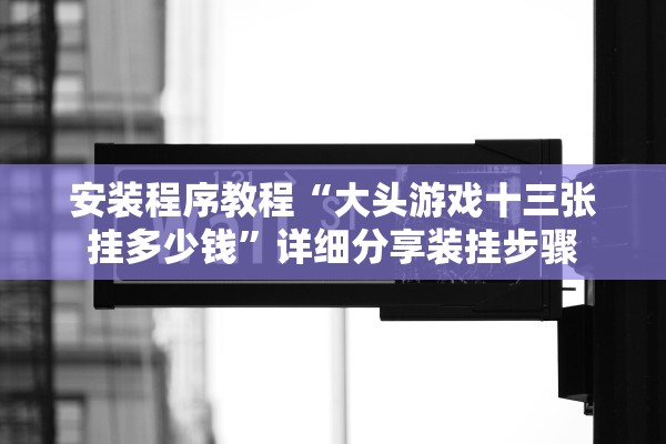 安装程序教程“大头游戏十三张挂多少钱”详细分享装挂步骤