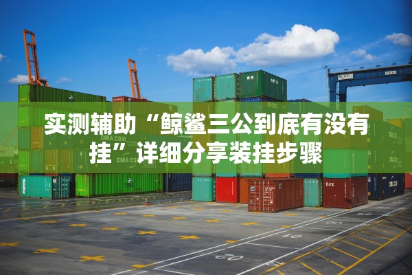 实测辅助“鲸鲨三公到底有没有挂”详细分享装挂步骤