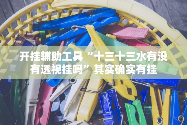 开挂辅助工具“十三十三水有没有透视挂吗”其实确实有挂