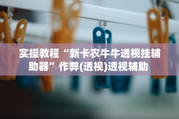 实操教程“新卡农牛牛透视挂辅助器”作弊(透视)透视辅助 
