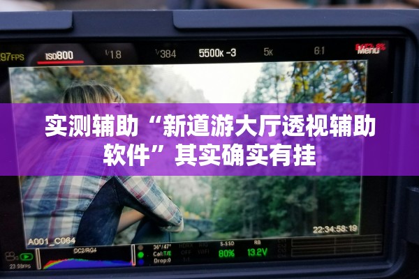 实测辅助“新道游大厅透视辅助软件”其实确实有挂