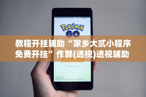 教程开挂辅助“家乡大贰小程序免费开挂”作弊(透视)透视辅助 