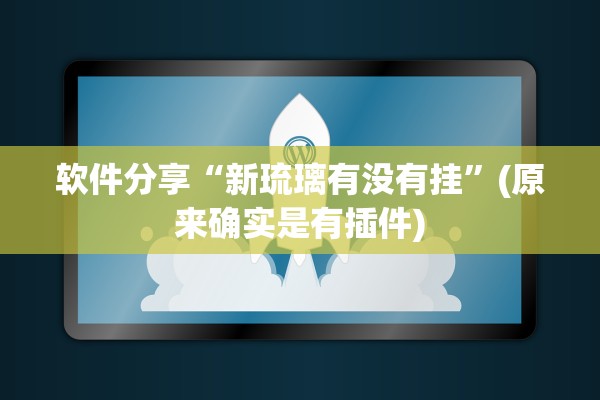 软件分享“新琉璃有没有挂”(原来确实是有插件)