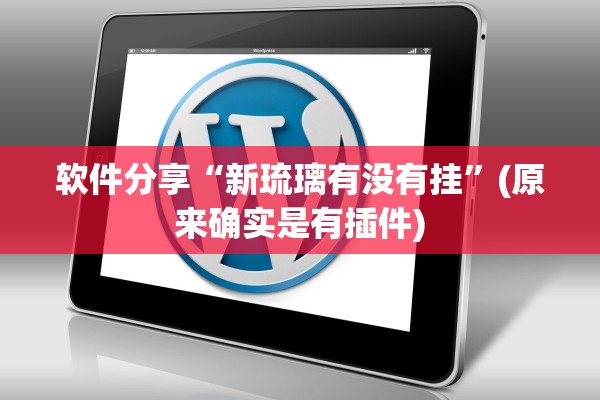 软件分享“新琉璃有没有挂	”(原来确实是有插件)