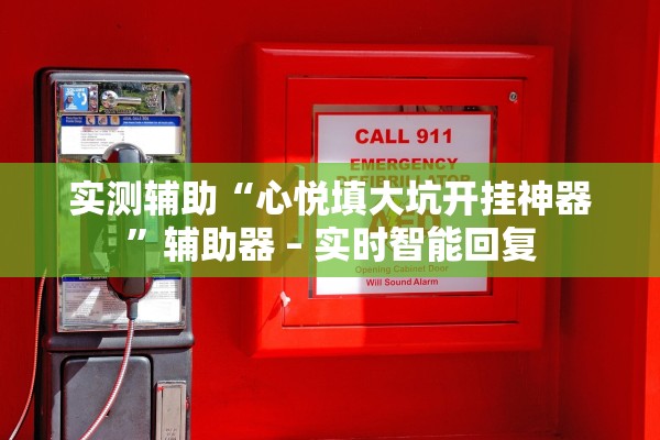 实测辅助“心悦填大坑开挂神器”辅助器 – 实时智能回复