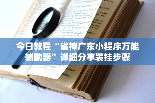 今日教程“雀神广东小程序万能辅助器”详细分享装挂步骤