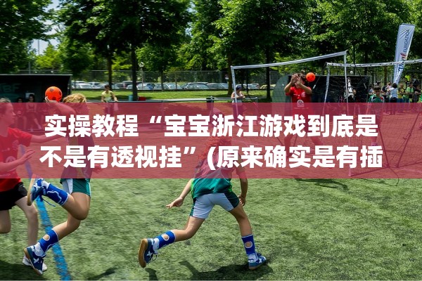 实操教程“宝宝浙江游戏到底是不是有透视挂”(原来确实是有插件) 