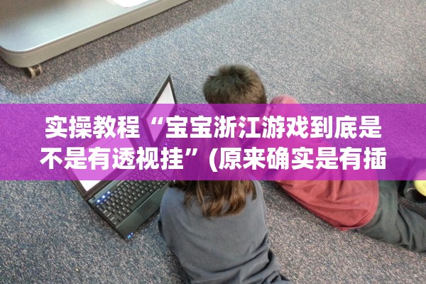 实操教程“宝宝浙江游戏到底是不是有透视挂”(原来确实是有插件) 