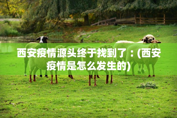 西安疫情源头终于找到了︰(西安疫情是怎么发生的)