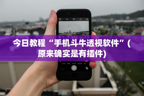 今日教程“手机斗牛透视软件”(原来确实是有插件)