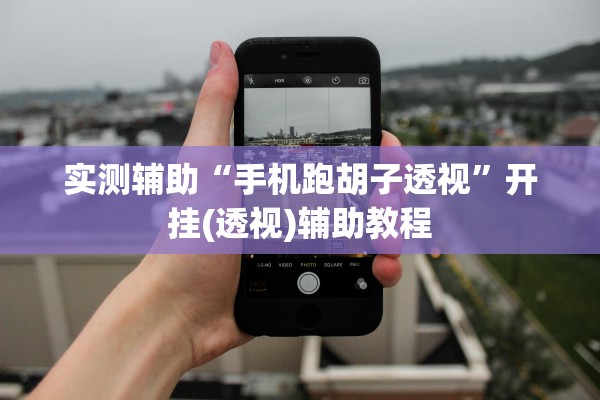 实测辅助“手机跑胡子透视	”开挂(透视)辅助教程