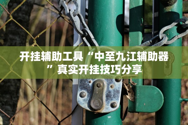 开挂辅助工具“中至九江辅助器	”真实开挂技巧分享