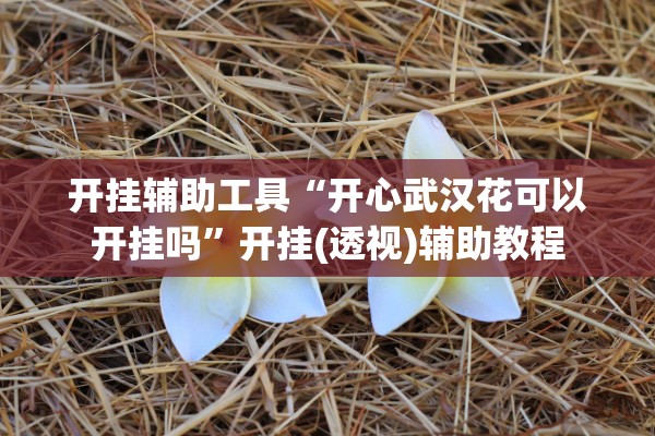 开挂辅助工具“开心武汉花可以开挂吗	”开挂(透视)辅助教程