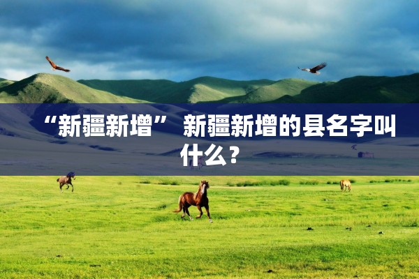 “新疆新增	” 新疆新增的县名字叫什么？