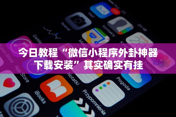 今日教程“微信小程序外卦神器下载安装”其实确实有挂