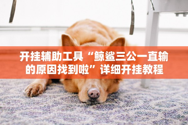 开挂辅助工具“鲸鲨三公一直输的原因找到啦”详细开挂教程