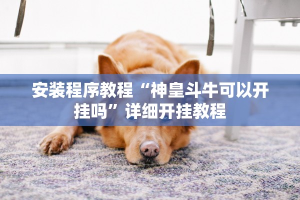 安装程序教程“神皇斗牛可以开挂吗”详细开挂教程