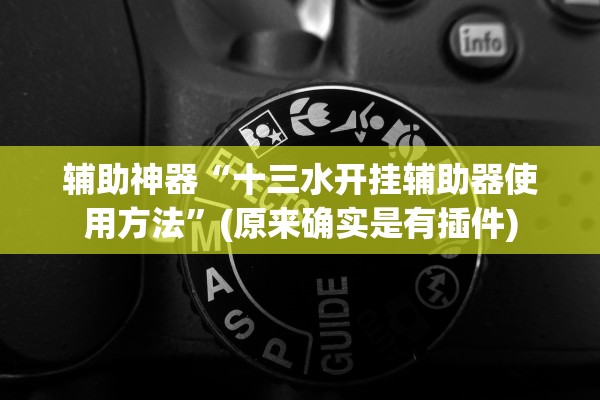 辅助神器“十三水开挂辅助器使用方法”(原来确实是有插件)