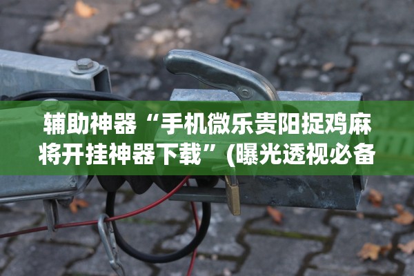 辅助神器“手机微乐贵阳捉鸡麻将开挂神器下载	”(曝光透视必备猫腻)