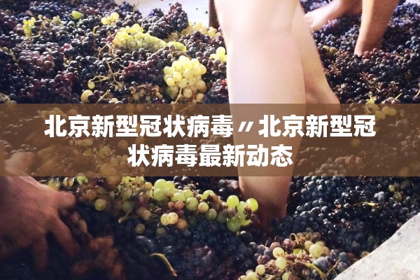 可用版本“天涯麻将究竟可以开挂吗”(原来确实是有插件)